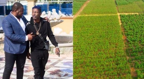 I will go into farming if Shatta Wale rejoins VGMA – Bulldog