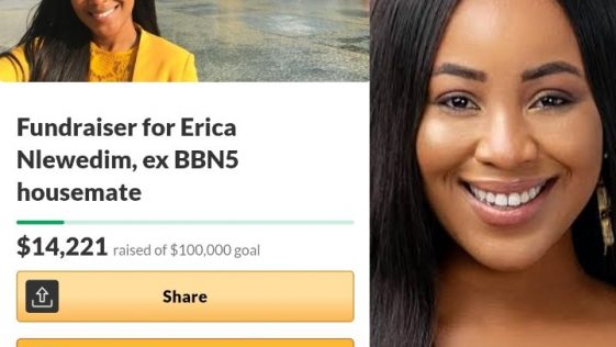 Erica Nlewedim Gofundme