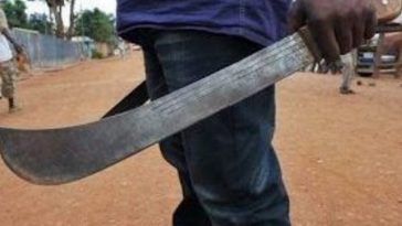 Houseboy kills his madam while she was asleep