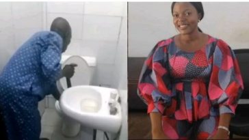 Woman dies after being bitten by snake while sitting on toilet in her home